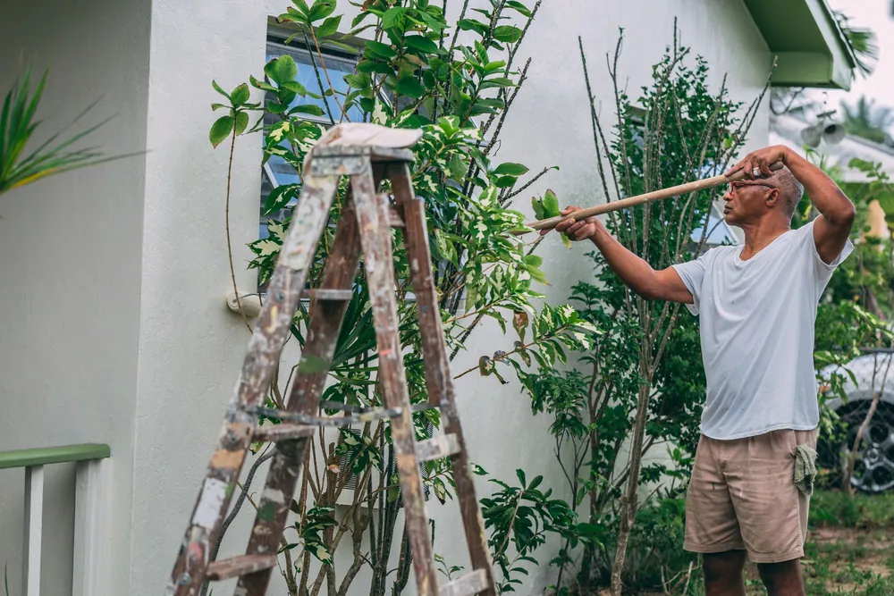 When Is the Best Time of Year to Paint Your House in Georgia?